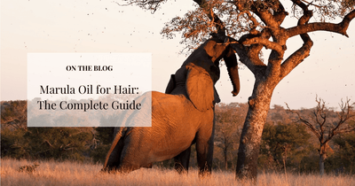 Marula Oil for Hair: The Complete Guide