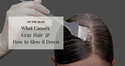 What Causes Gray Hair  & How To Slow it Down